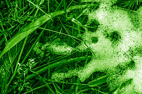 Sad Mouth Melting Ice Face Creature Among Soggy Grass (Green Shade)
