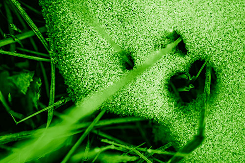 Screaming Illuminated Grass Piercing Snow Face (Green Shade)