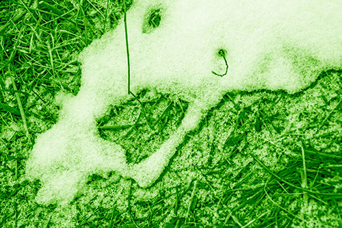 Screaming Stick Eyed Snow Face Among Grass (Green Shade Photo)