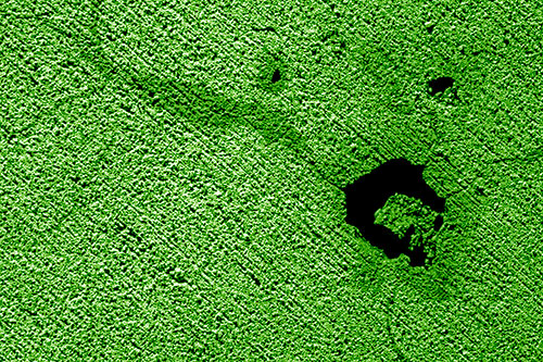Screaming Wet Asphalt Face Cracking Apart (Green Shade)