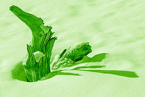 Shadow Casting Tree Trunk Waving Among Snow (Green Shade)
