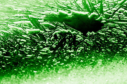 Shattered Ice Crystals Surround Water Hole (Green Shade Photo)