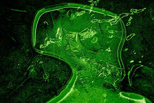 Shattering Ice Head Cracking Smile Along Shore (Green Shade)