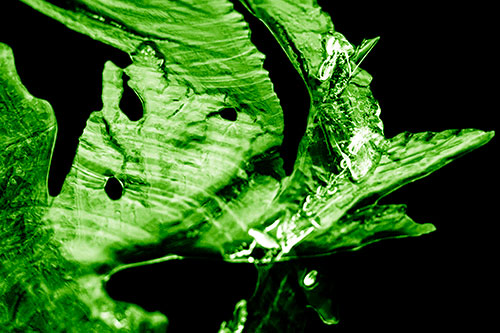 Shocked Jagged Curving Ice Face (Green Shade)