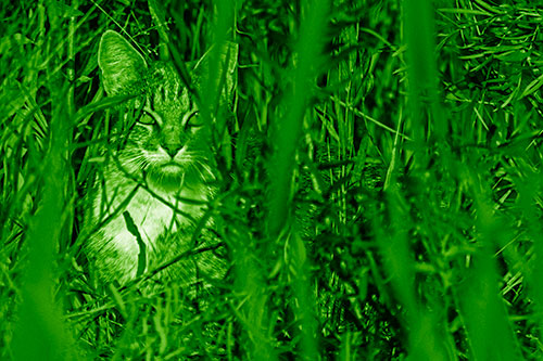 Sitting Cat Gazes Through Reed Grass (Green Shade)