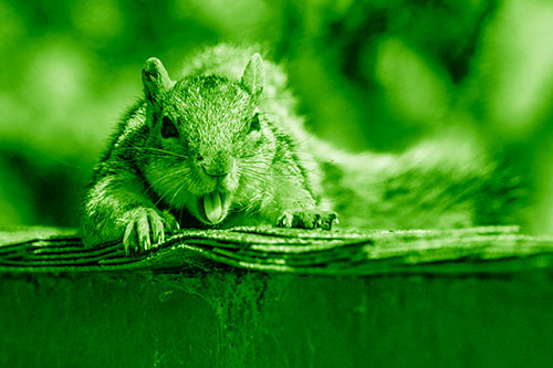 Sleepy Squirrel Yawning Among Rooftop (Green Shade)
