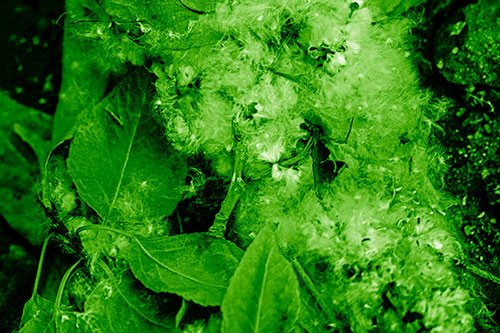 Smiling Cotton Stick Face Among Fallen Leaves (Green Shade)