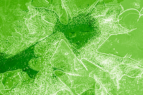 Smug Ice Face Among Frozen River Water (Green Shade Photo)