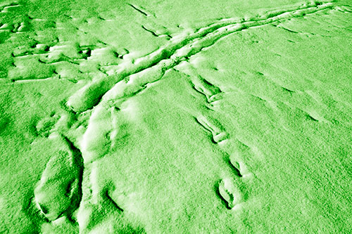 Snow Drifts Cover Footprint Trails (Green Shade Photo)