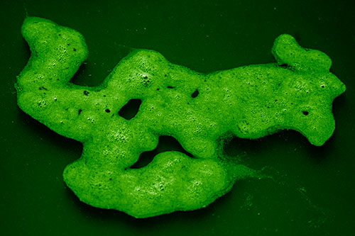 Sorrow Morphing Bubble Face Floating Above Soil (Green Shade)
