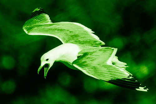 Squealing Seagull Spots Creature Among Lake Below (Green Shade)