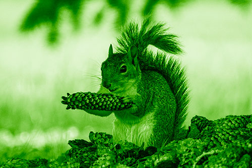 Squirrel Eating Pine Cones (Green Shade Photo)