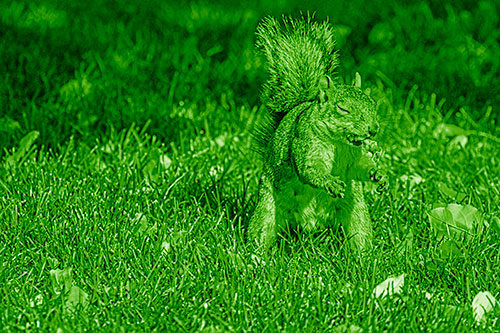 Squirrel Enjoying Breakfast Among Fallen Autumn Leaves (Green Shade)