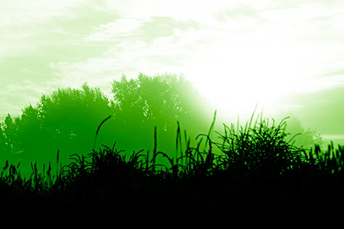 Sun Rises Beyond Fog Filled Treeline (Green Shade Photo)
