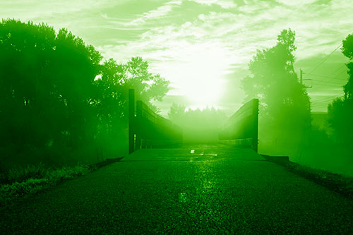Sun Rises Beyond Foggy Wooden Walkway Bridge (Green Shade Photo)