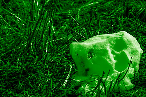 Sunlight Melting Dead Snow Face Head (Green Shade Photo)