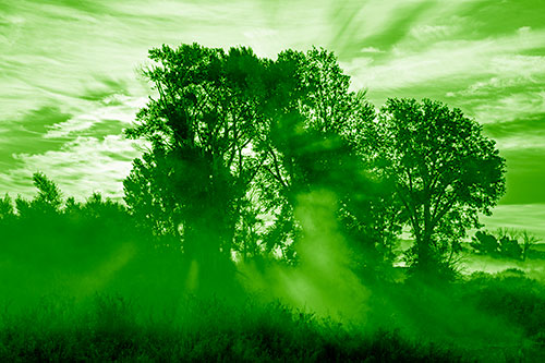 Sunlight Rays Burst Through Fog Surrounded Trees (Green Shade Photo)
