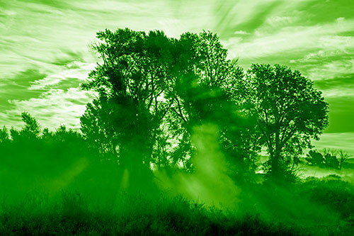 Sunlight Rays Burst Through Fog Surrounded Trees (Green Shade)