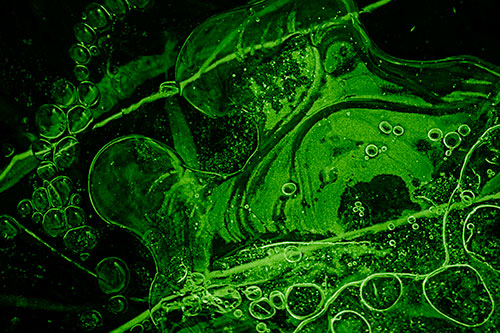 Terrified Screaming Ice Bubble Face Imprisoned Among Sticks (Green Shade)