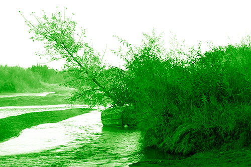 Tilted Fall Tree Over Flowing River (Green Shade Photo)