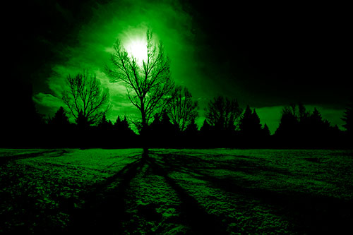 Tree Silhouette Holds Sun Among Darkness (Green Shade Photo)