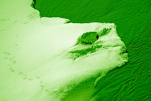Tree Stump Eyed Snow Face Creature Along River Shoreline (Green Shade Photo)