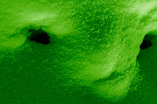 Triangle Powdered Snow Face Atop Soil (Green Shade)