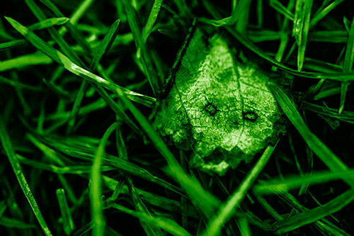 Upset Decaying Leaf Face Hiding Among Twisting Grass Blades (Green Shade)