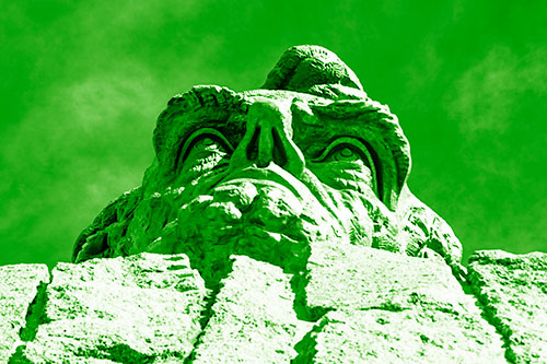 Vertical Upwards View Of Presidents Statue Head (Green Shade Photo)