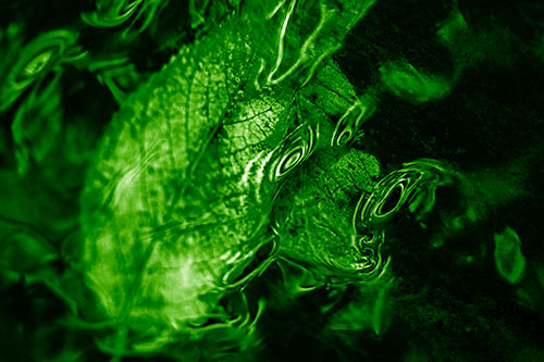 Water Ripple Faced Leaf In Submerged Trance (Green Shade)