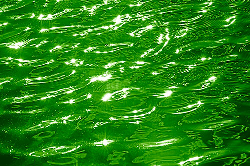Water Ripples Sparkling Among Sunlight (Green Shade Photo)