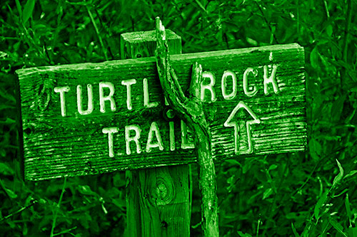 Wooden Turtle Rock Trail Sign (Green Shade Photo)