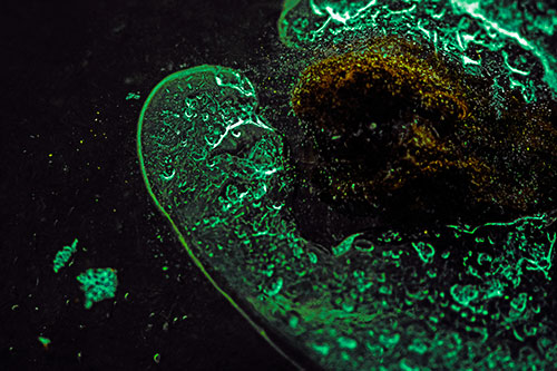 Angry Eyebrow Raised Ice Bubble Creature Bending Beside Mossy Rock (Green Tint)