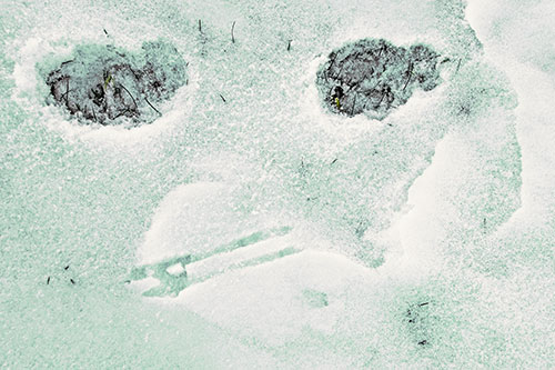 Beak Mouthed Footprint Face Among Snow (Green Tint)