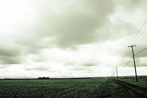 Bleak Clouded Sky Consumes Powerline Prairie (Green Tint Photo)