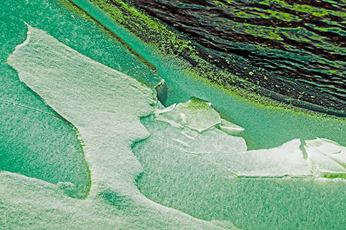 Broken Cracked Ice Along Shoreline (Green Tint Photo)