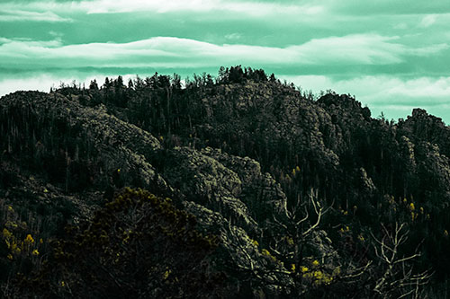 Cloudy Summit Trailhead Mountain Top (Green Tint Photo)