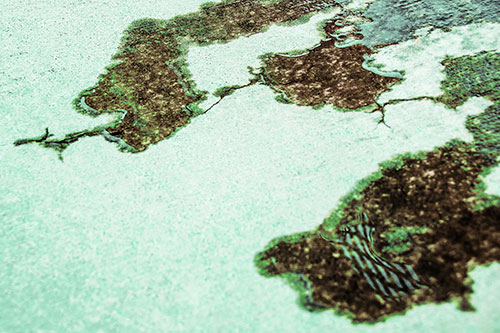 Creeping Water Puddle Across Concrete Pavement (Green Tint)