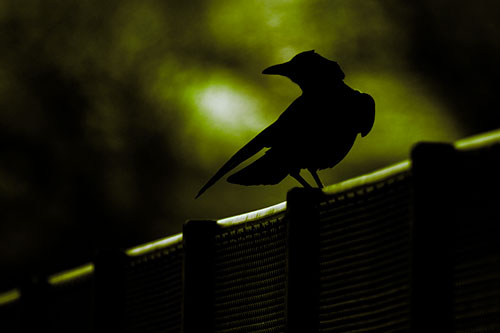 Crow Silhouette Atop Guardrail (Green Tint Photo)