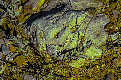 Demonic Leaf Mouthed Rock Face Snarling Among Dirt (Green Tint)