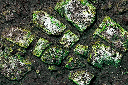 Dirt Covered Stepping Stones (Green Tint Photo)