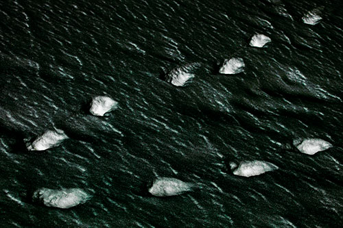 Distancing Snow Footprints (Green Tint)