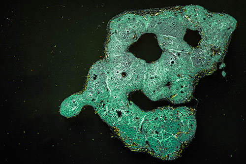 Droopy Smiling Bubble Face Floating Above Soil (Green Tint)