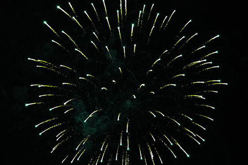 Firework Star Trails Vaporize Among Night Sky (Green Tint Photo)