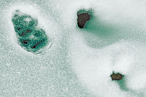 Footprint Eye Snow Face Atop Rock Surface (Green Tint)
