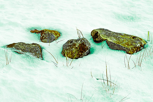 Four Big Rocks Buried In Snow (Green Tint Photo)
