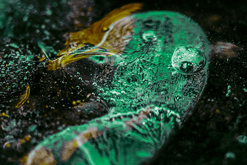 Frozen Distorted Bubble Eyed Ice Face (Green Tint)