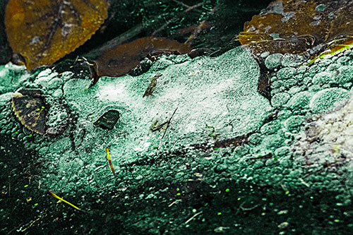Frozen Rubber Eyed Ice Face Smiling Among Floating Leaves (Green Tint)