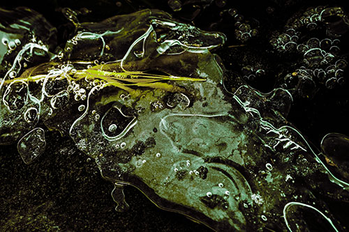 Frozen Shapeshifting Pupil Bubble Eyed Ice Face (Green Tint)