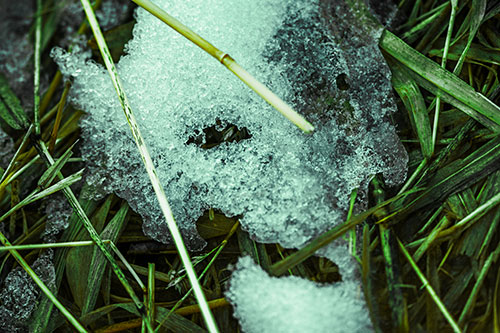 Half Melted Ice Face Smirking Among Reed Grass (Green Tint)